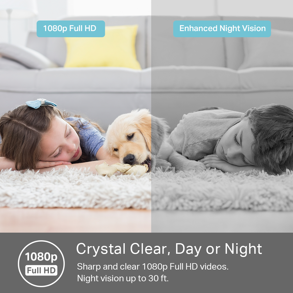 two children and a dog on the floor.  the image is split with night vision on the right and 1080p HD on the left