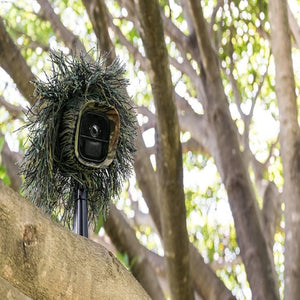 An Arlo go mobile camera camouflaged in a tree 