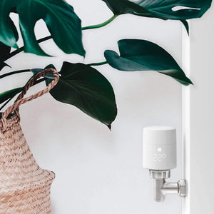 a tado smart thermostatic radiator valve una house plant