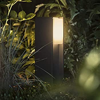 Philips Hue Outdoor Smart Light Turaco Pedestal shown emitting a white light in garden foliage